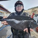 환상의민박 이미지