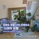 김삿갓면-33 이미지