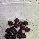 수제 과일젤리 만들기Ⅱ | 유행하는 마이구미 젤리 코하쿠토 만드는법 🍇 준비물/만드는법/후기