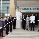 금산인삼식품
