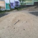 덕인초등학교 병설유치원 이미지