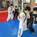 합기도 호신술 이미지