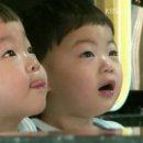 신세계불고기