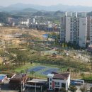 모전1-1공원 이미지