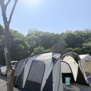 파주 노지캠핑 성지✨ 임진강 뷰 맛집 원두막카페 후기🏕️