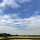 디어베이비 시흥점 | 시흥 갯골생태공원 다녀온 후기