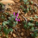 남해는, 지금 이미지