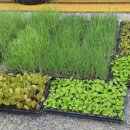 하늘농약사 이미지