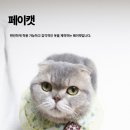 냥냥펀치 이미지