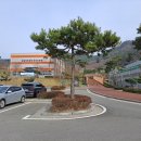 읍내6구 티스토리