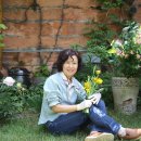 계절의 여왕 5월 체험관(안동초,겹작약,노란난초,끈끈이풀,호접란,달개비) 이미지