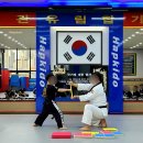 수룡관합기도 유림합기스쿨 이미지