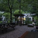 초록수채화 이미지