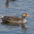 원각만물 | <가르침을 주는 불교 일화>