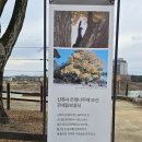 14 | 2026 정월대보름 | 여주 남한강 달집태우기 현장 후기, 주차정보, 위치 | 액운을 태우고 소원 빌고 왔어요!