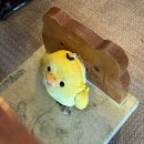 월남참전 기념탑(고 | 3.