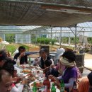 용일농장 이미지