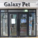 갤럭시펫 애견미용 이미지