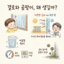 우리산성약국 | 겨울철 결로, 곰팡이 원인과 방지법