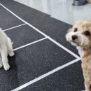 견학생스쿨 네이버블로그