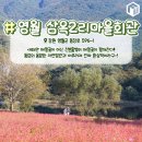 메밀꽃회관 이미지