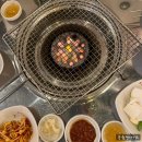 우아한곰장어