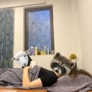 뉴서울이발관 이미지