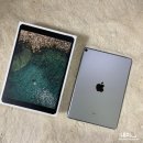 뒤늦게 구입한 아이패드 프로 10.5(ipad pro 2nd 10.5inch) 직구 후기
