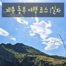 동부외국문화학습관 | 제주도 2박 3일 동부 여행 코스 1일차 추천