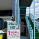 속초애견펜션양양빈티지하우스 이미지