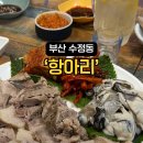 항아리포차 - 논산시 | 항아리포차