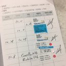 분당 필동물병원 이미지