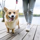 활기찬동물병원 이미지