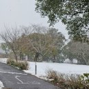 기리시마 이미지