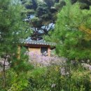 시애틀 노래연습장 이미지