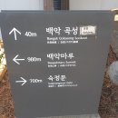 곡성-037 티스토리