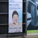 바디라인업