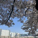 다산금융컨설팅 | 돈이 안되는 돈 이야기 - 집 이야기(4)