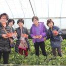 전농영농조합법인 이미지