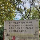 수영강자전거도로 동천교 부근 | 상쾌한 수변길(석대천, 수영강, 회동수원지)과 윤산숲속등산로 트레킹 2024년 10월 9일