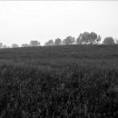 허브목장 이미지