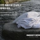 다운환경(주) 네이버블로그