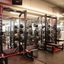 메이저핏 이미지