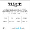 피스오퍼링(PEACE OFFERING)