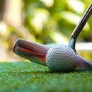 렉스그린(주) 이미지