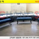 창신인테리어