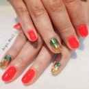 아르고네일 이미지