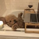 오커피랩 이미지