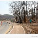 국사봉 지석묘군 이미지