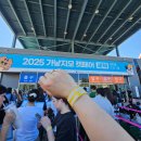 단비캣 | 2025 가낳지모 캣페어 후기 : 볼거리, 업체소개 및 샘플 수령 방법
